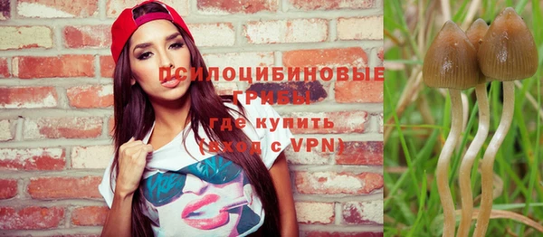 ALPHA-PVP Покровск