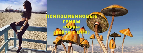 mdpv Покачи