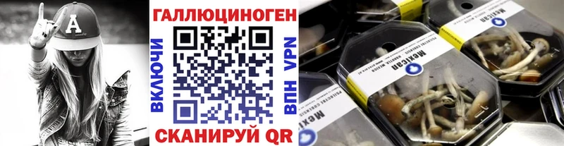 Галлюциногенные грибы GOLDEN TEACHER  Зеленоградск 