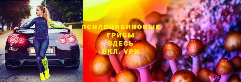 мега ссылка  это клад  Зеленоградск  Галлюциногенные грибы MAGIC MUSHROOMS  наркошоп 